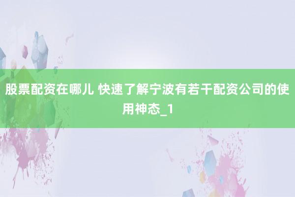 股票配资在哪儿 快速了解宁波有若干配资公司的使用神态_1