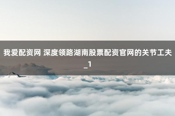 我爱配资网 深度领路湖南股票配资官网的关节工夫_1