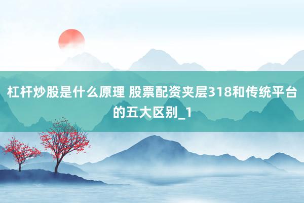 杠杆炒股是什么原理 股票配资夹层318和传统平台的五大区别_1